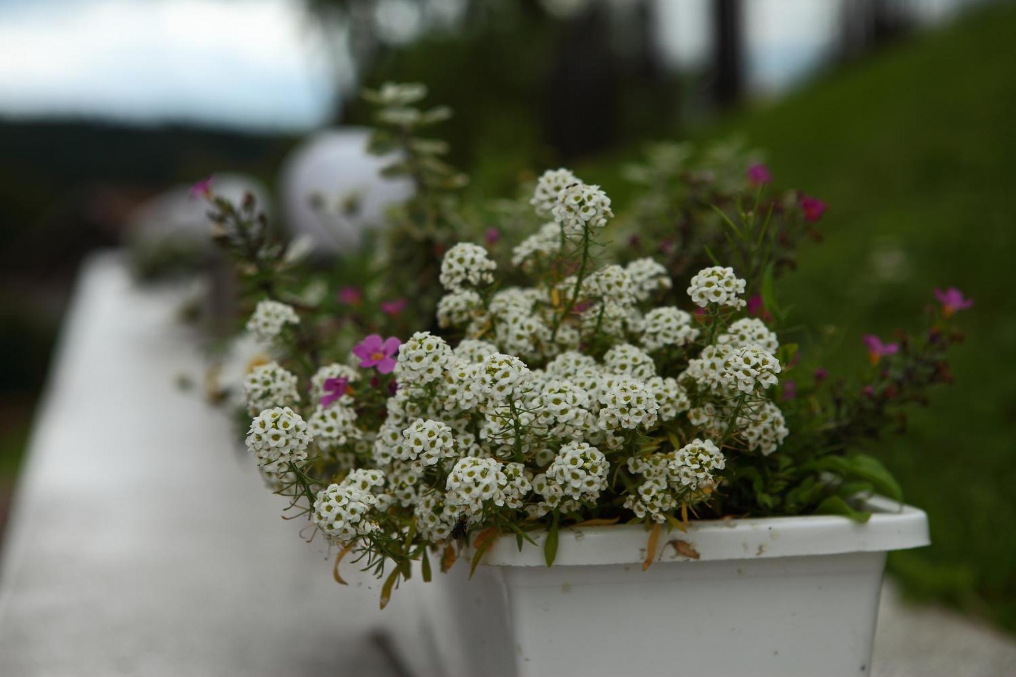 Favar Carpathians Skhidnytsia 外观 照片